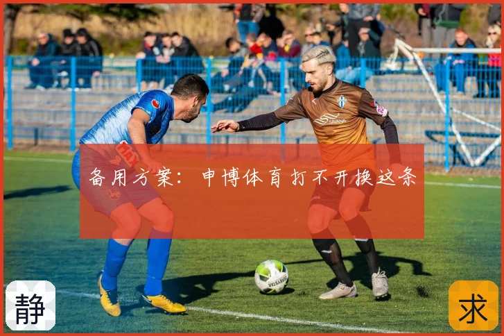备用方案:申博体育打不开换这条